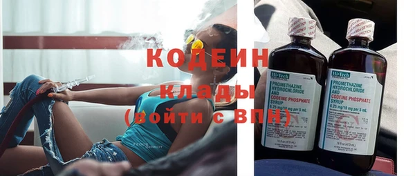 прущие грибы Пестово