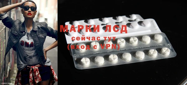 прущие грибы Пестово