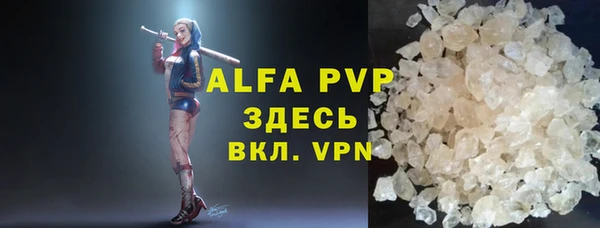 прущие грибы Пестово