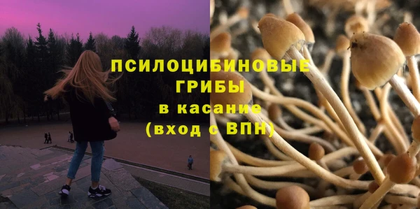 спайс Осташков